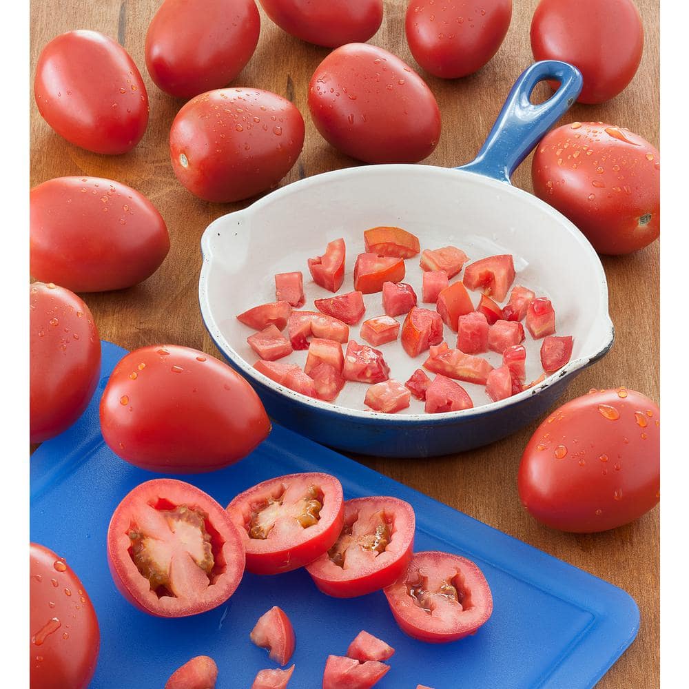 Bonnie Plants 1 qt. Roma Classic Paste Tomato Plant (6-Pack