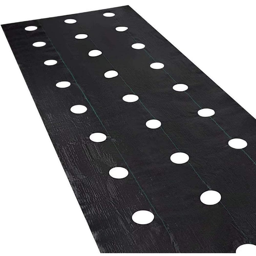 Agfabric 4 ft. x 12 ft. Eco-Friendly Weed Control Fabric Planting Holes ...