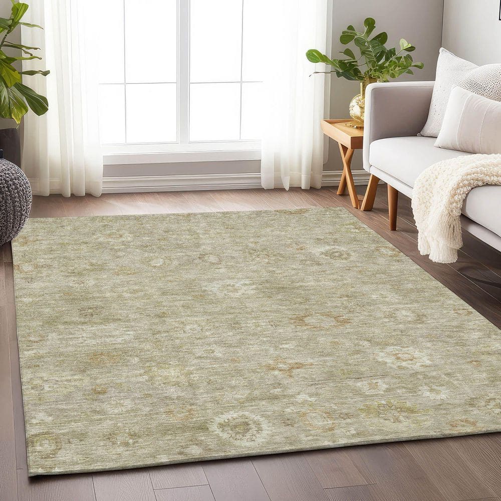 Chantille Machine Washable Indoor/Outdoor Abstract ACN1770 Beige 3 ft. x 5 ft. Area Rug price history on PriceWatchPro