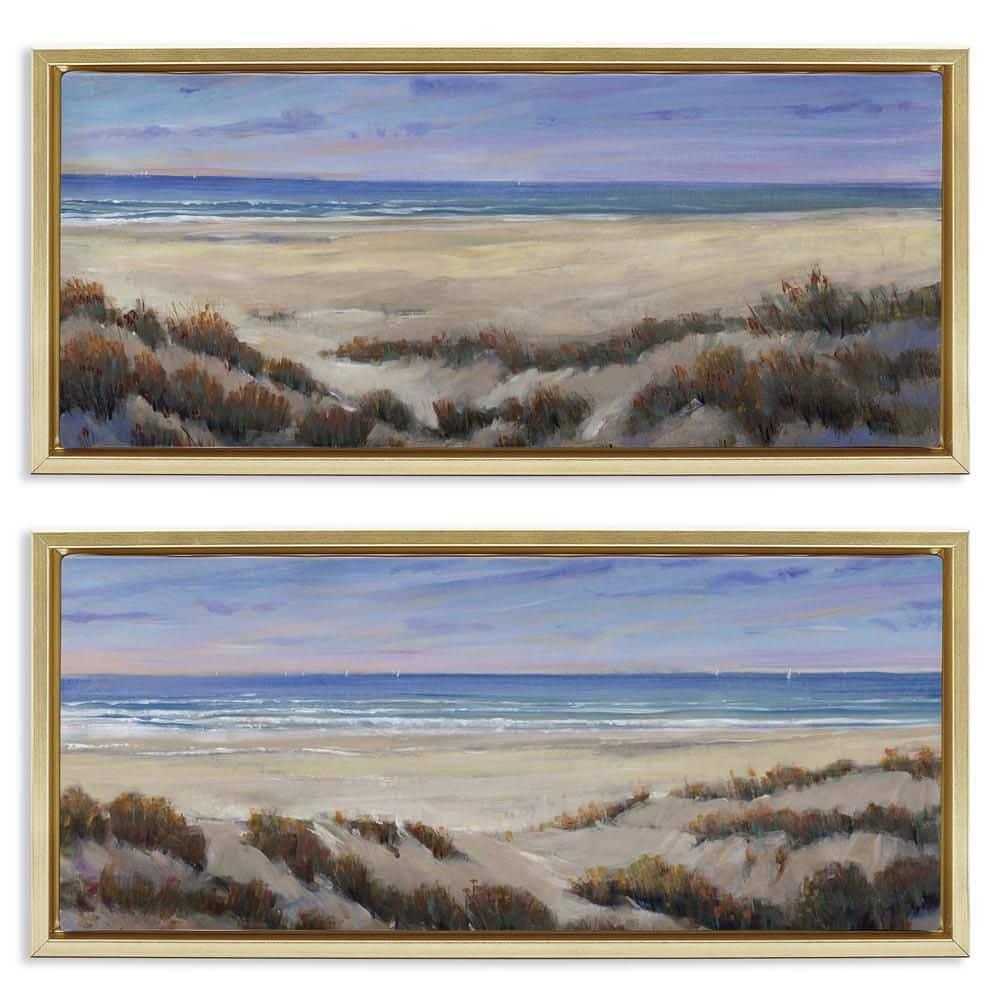 Coastal Beach Terrain by Tim OToole 2 Pieces Gold Floater Frame Nature Graphic Art Print 11 in. x 25 in. price history on PriceWatchPro