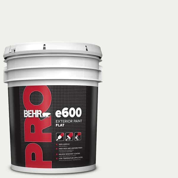 5 gal. #57 Frost Flat Exterior Paint
