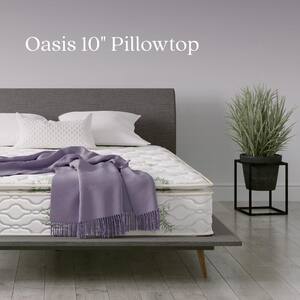 Oasis 10 in. Plush Foam Independently Encased Coil Pillow Top Full Size Mattress