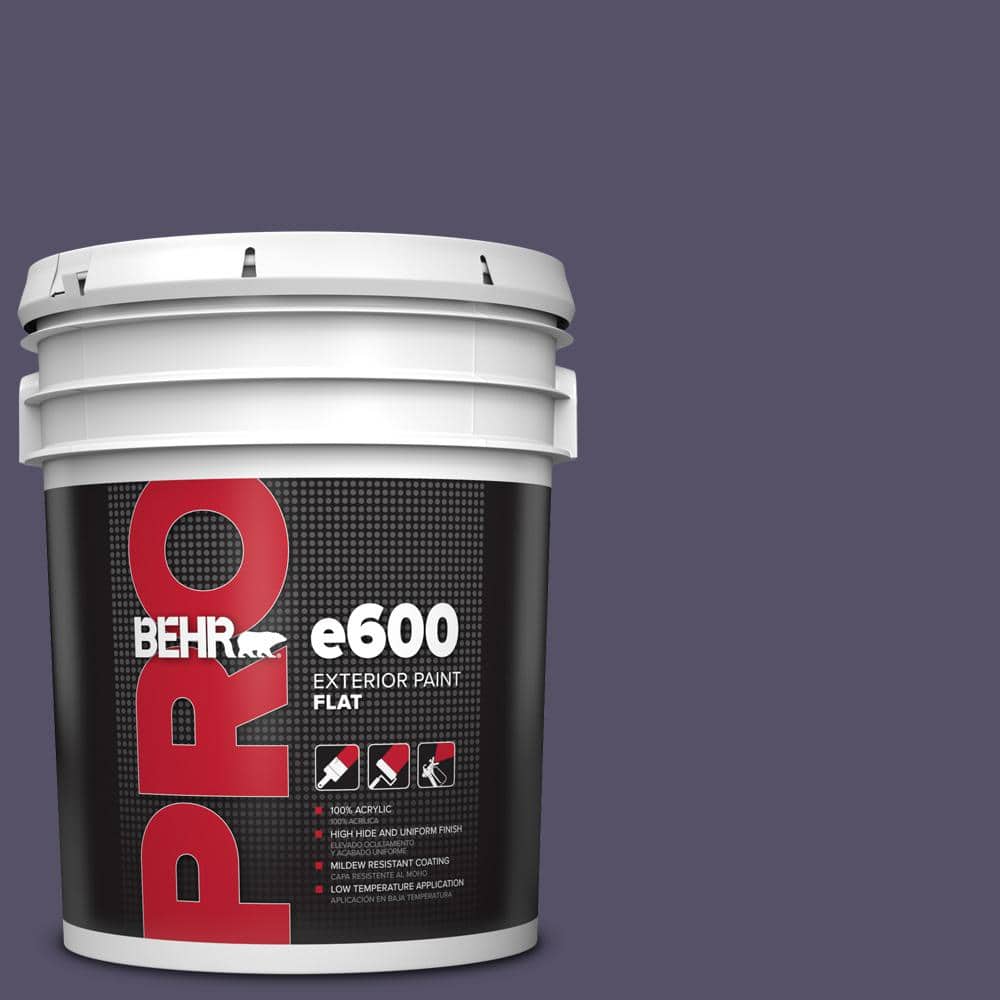 5 gal. #650F-7 Violet Eclipse Flat Exterior Paint price history on PriceWatchPro
