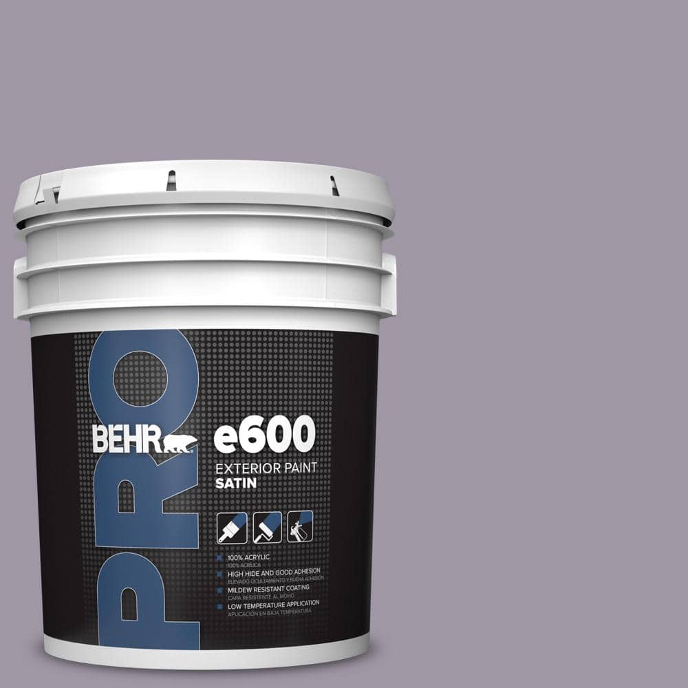5 gal. #N100-4 Fortune Satin Exterior Paint price history on PriceWatchPro