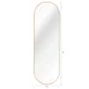 LCEPURE TRADE INC Gold 20 in. W x 60 in. H Decorative Mirror Oval Metal Aluminum Full Length Mirror Vanity Mirror for Living Room JY25032402