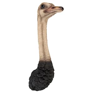 28 in. H Ostrich Bird Trophy Wall Sculpture