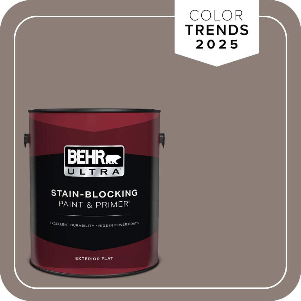 1 gal. Home Decorators Collection #HDC-NT-27B Wild Truffle Flat Exterior Paint & Primer price history on PriceWatchPro