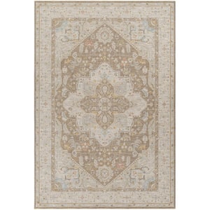 Avant Garde 10 ft. x 14 ft. Brown Border Indoor Area Rug