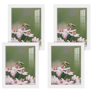 Modern 11 in. x 14 in. White Picture Frame (Set of 4)