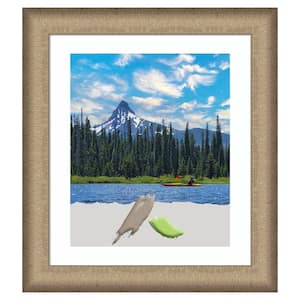 Elegant Brushed Bronze Picture Frame Opening Size 20 x 24 in. Matted To 16 x 20 in.