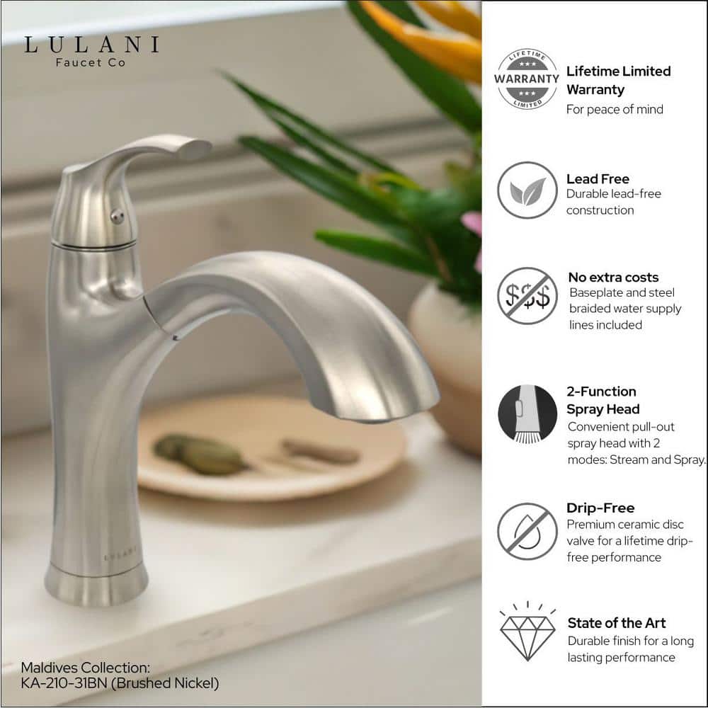 Brushed Nickel Single Handle Pull-Out Kitchen Faucet
