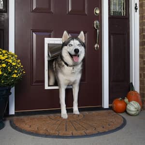 10-1/8 in. x 16-1/4 in. Large Extreme Weather Pet Door