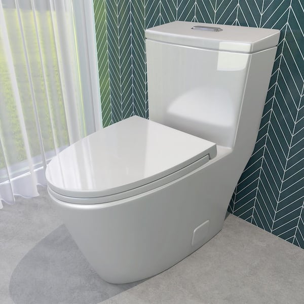 1-Piece Toilet 1.1/1.6 GPF Water-Efficient Dual Flush Elongated 16 in. Toilet in White Soft Close Toilet Seat Included