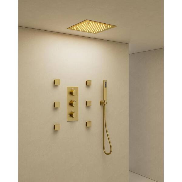 CRANACH 5Spray LED Ceiling Mount Dual Shower Head Fixed and Handheld