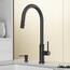 VIGO Bristol Single Handle Pull-Down Sprayer Kitchen Faucet in Matte ...