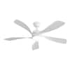 ceiling-fans-with-lights-zt-w882p146902-64.0