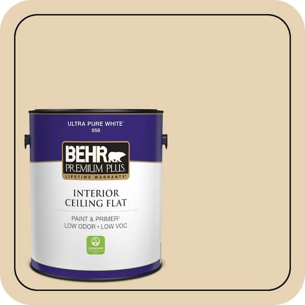 1 gal. #S310-2 Journal White Ceiling Flat Interior Paint & Primer