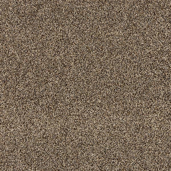Household Hues I Tree Bark Brown 31 oz. Polyester Textured Installed Carpet