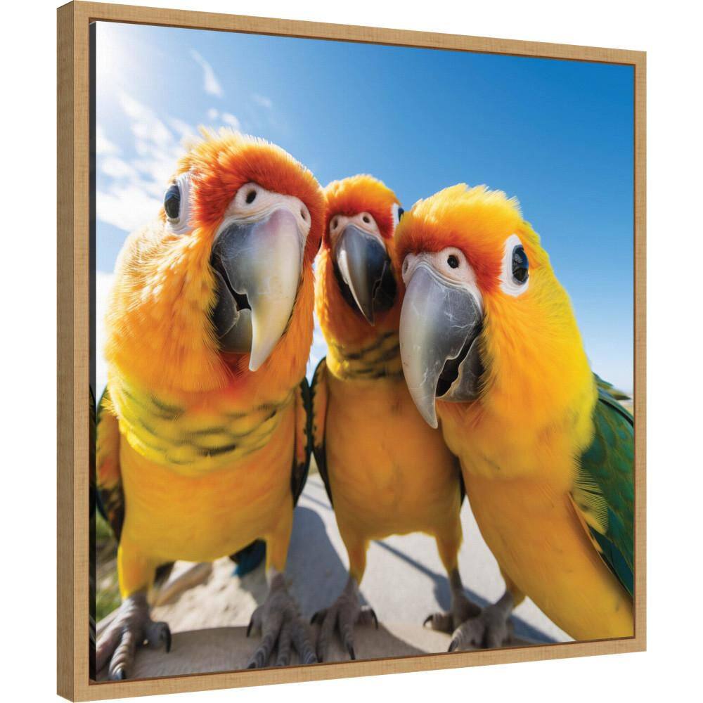 "Sylvie ""Funny Animal Parrot Selfie"" by The Creative Bunch Studio Natural Framed Art Print 22 in. x 22 in." price history on PriceWatchPro