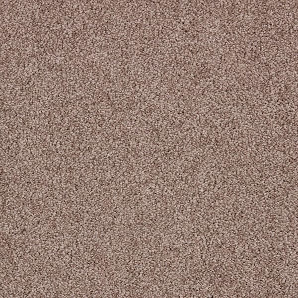 Lifeproof with Petproof Technology Playful Moments I Sunkissed Sands Brown 34 oz. Triexta Texture Installed Carpet