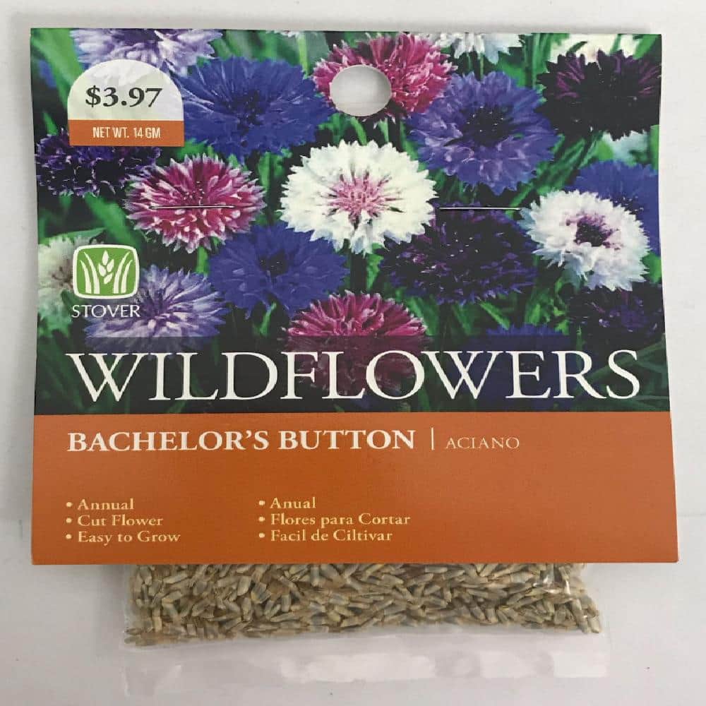 Bachelor Buttons Tall Mix Flower Seeds Packet 2 GRAMS Easy Cornflower USA Fun 