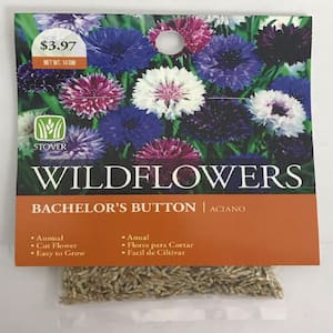 Bachelor's Button Mixed Seed