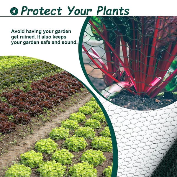 3.6 ft. W x 197 ft. L Green Chicken Wire Fencing Galvanized Hexagonal Floral Fence Poultry Netting For Garden and Plant