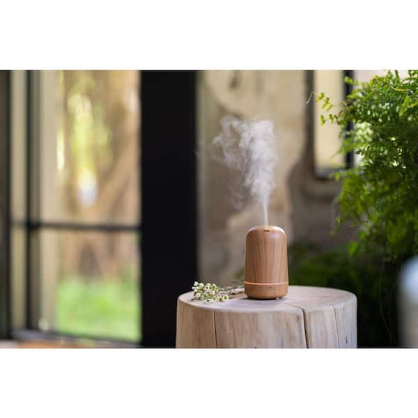 SERENE HOUSE Plug-in Essential Oil Diffusers & Reviews
