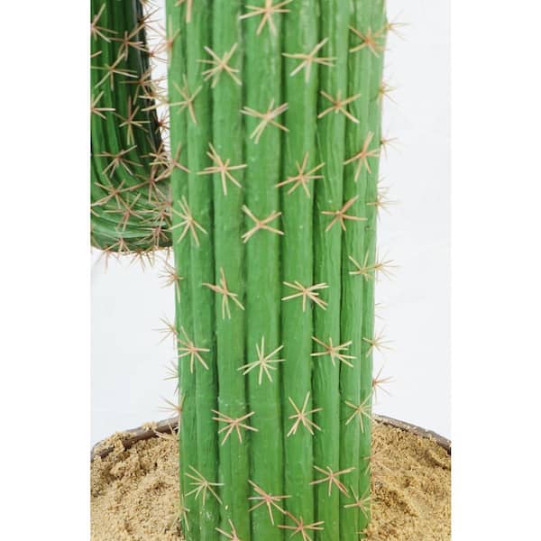 2.5' Artificial San Pedro Cactus Plant