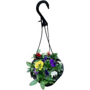 10 in. Pansy Hanging Basket Plant with Multi-Color Botch Flowers