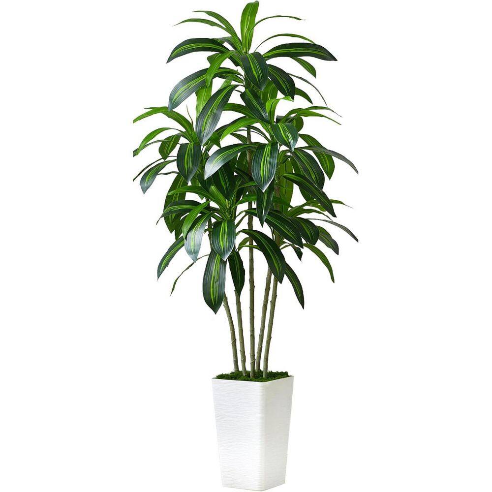 6 ft. Artificial Dracaena Tree Silk Tree in with Pot price history on PriceWatchPro