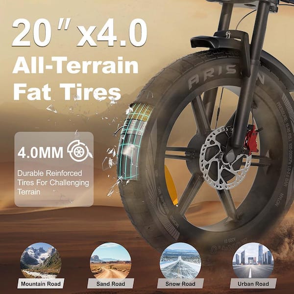 Zeus & Ruta 20 in. 750-Watt Fat Tire 48-Volt Removable Lithium