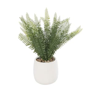 16 in. H Artificial Fern Plant with White Ceramic Pot