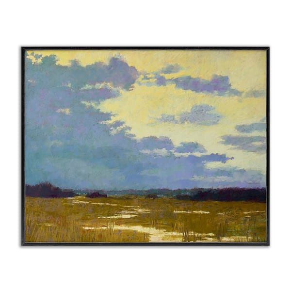 Stupell Industries Rustic Country Clouds by Carol Strock Wasson Black Framed Nature Giclee Art Print 16 in. x 20 in.