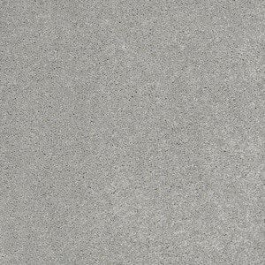 Coral Reef I - Old Pewter - Gray 65.5 oz. Nylon Texture Installed Carpet
