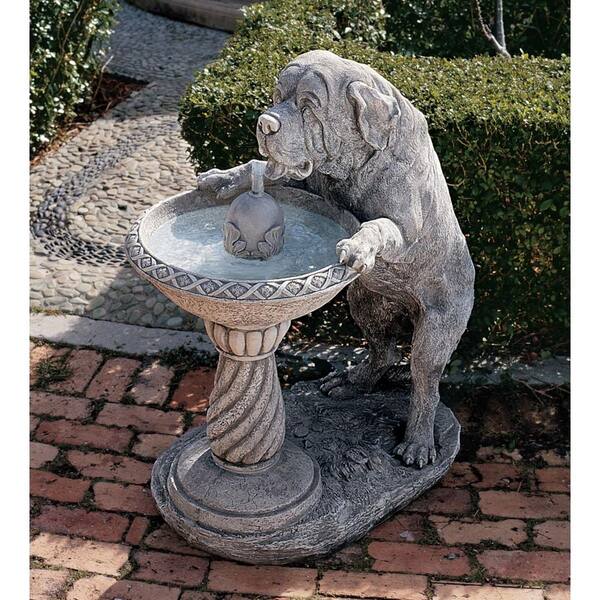 Why Your Dog Needs a Water Fountain Bowl - Proud Dog Mom