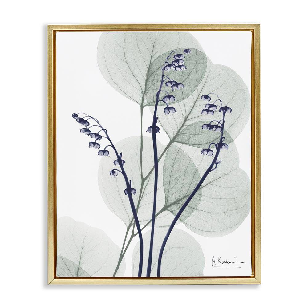 Serene Modern Eucalyptus by Albert Koetsier Gold Floater Frame Nature Graphic Art Print 31 in. x 25 in. price history on PriceWatchPro