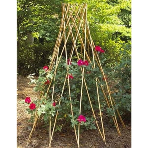 48 in. H Classic Willow Round Tepee Trellis