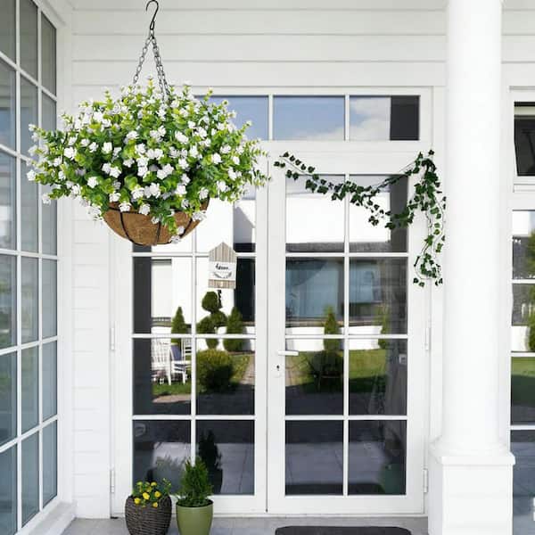 crocodile plant Philodendron Gold Crocodile starter plant **(ALL plants require you to  purchase ANY 2 plants!)** main image 1