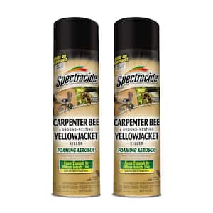 16 oz. Carpenter Bee And Ground-Nesting Yellowjacket Killer Foam Spray (2-Pack)