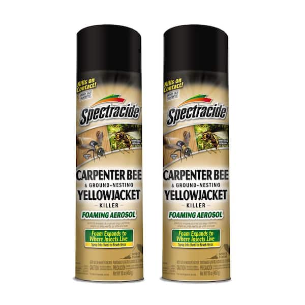 16 oz. Carpenter Bee And Ground-Nesting Yellowjacket Killer Foam Spray (2-Pack)