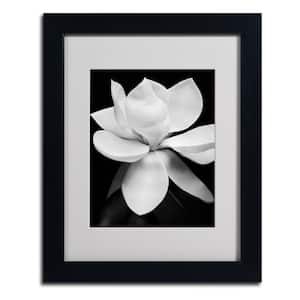 Magnolia by Michael Harrison Nature Art Print 16 in. x 13 in.