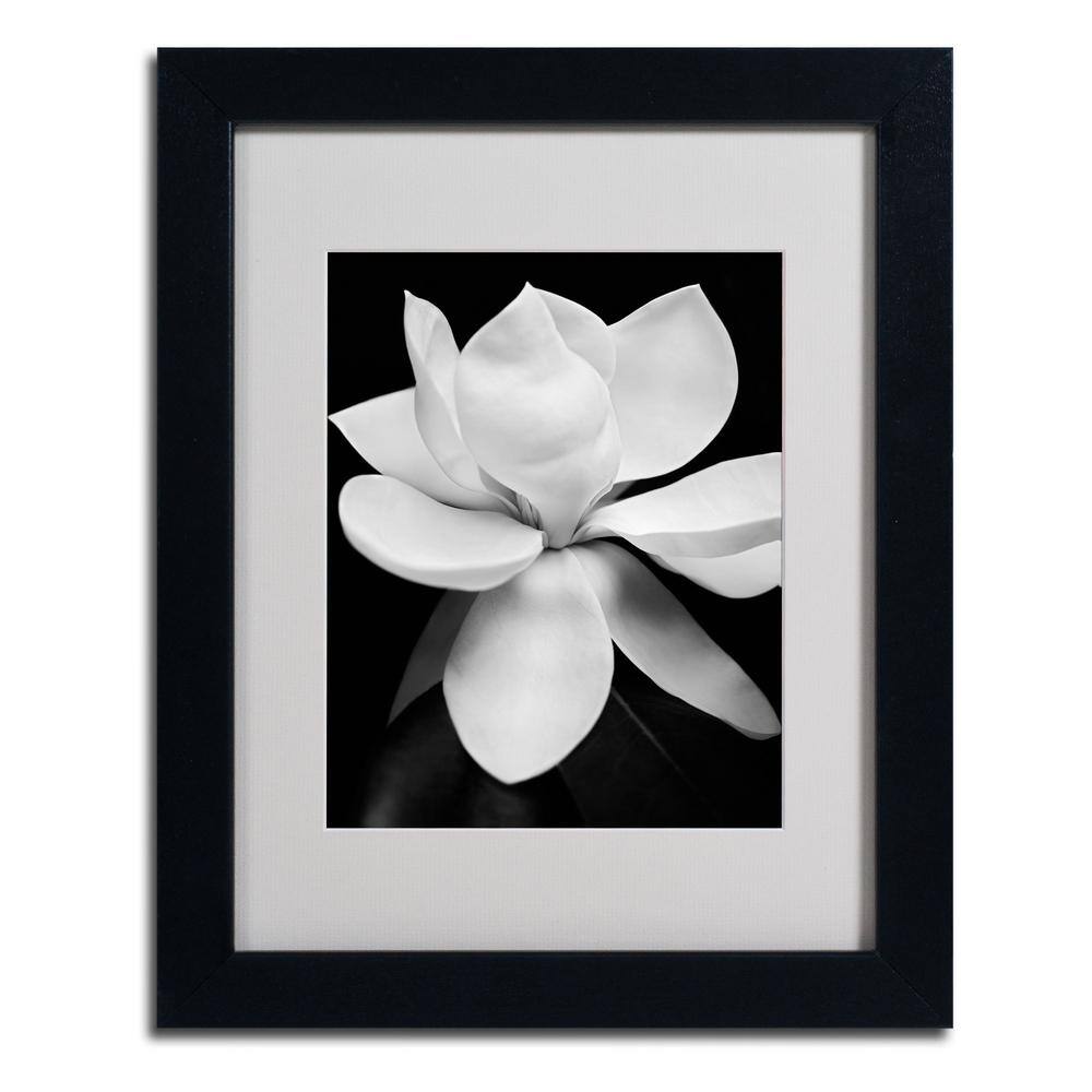 Trademark Fine Art 22 in. x 18 in. Magnolia by Michael Harrison ALI0290 ...