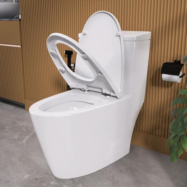 Zeafive Top 1-Piece Toilet 1.1/1.6 GPF Dual Flush Compact