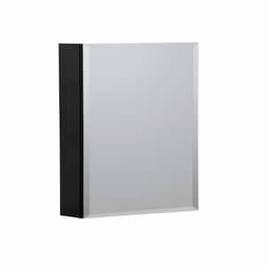 16 in. W x 20 in. H Black Aluminum Recessed/Surface MountBathroom Medicine Cabinet with Mirror, 2-Glass shelves