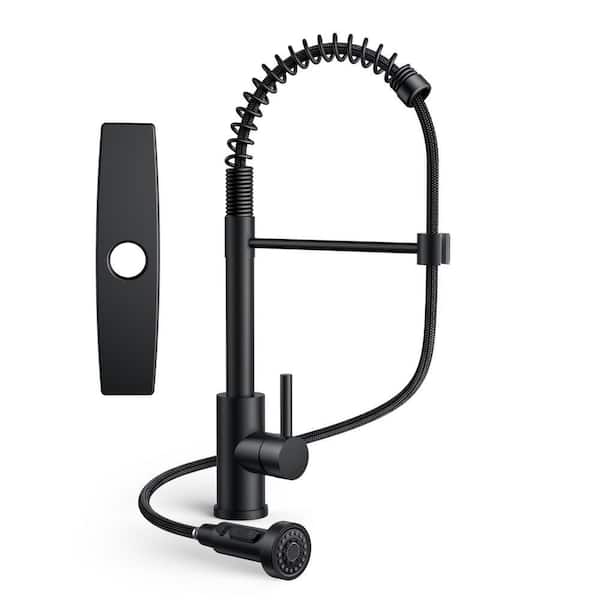 Single Handle Pull Down Sprayer Kitchen Faucet with Deckplate Pull Out Spray Wand in Black