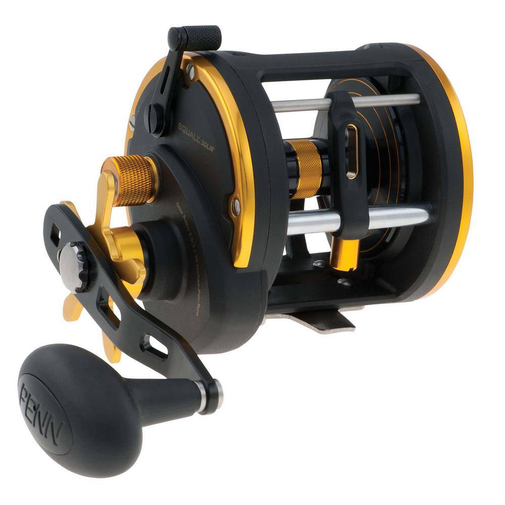 saltwater reel reviews