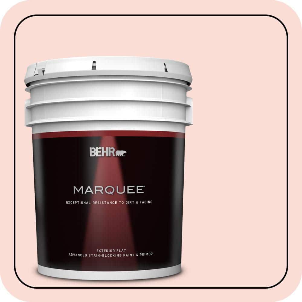 5 gal. #170A-1 Pink Parfait Flat Exterior Paint & Primer price history on PriceWatchPro
