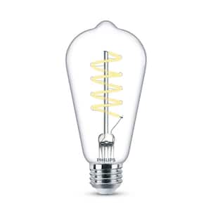 Royal Designs Clear Edison Vintage Style 60-Watt Light Bulb with Silver  Colored Base - Bed Bath & Beyond - 27283358