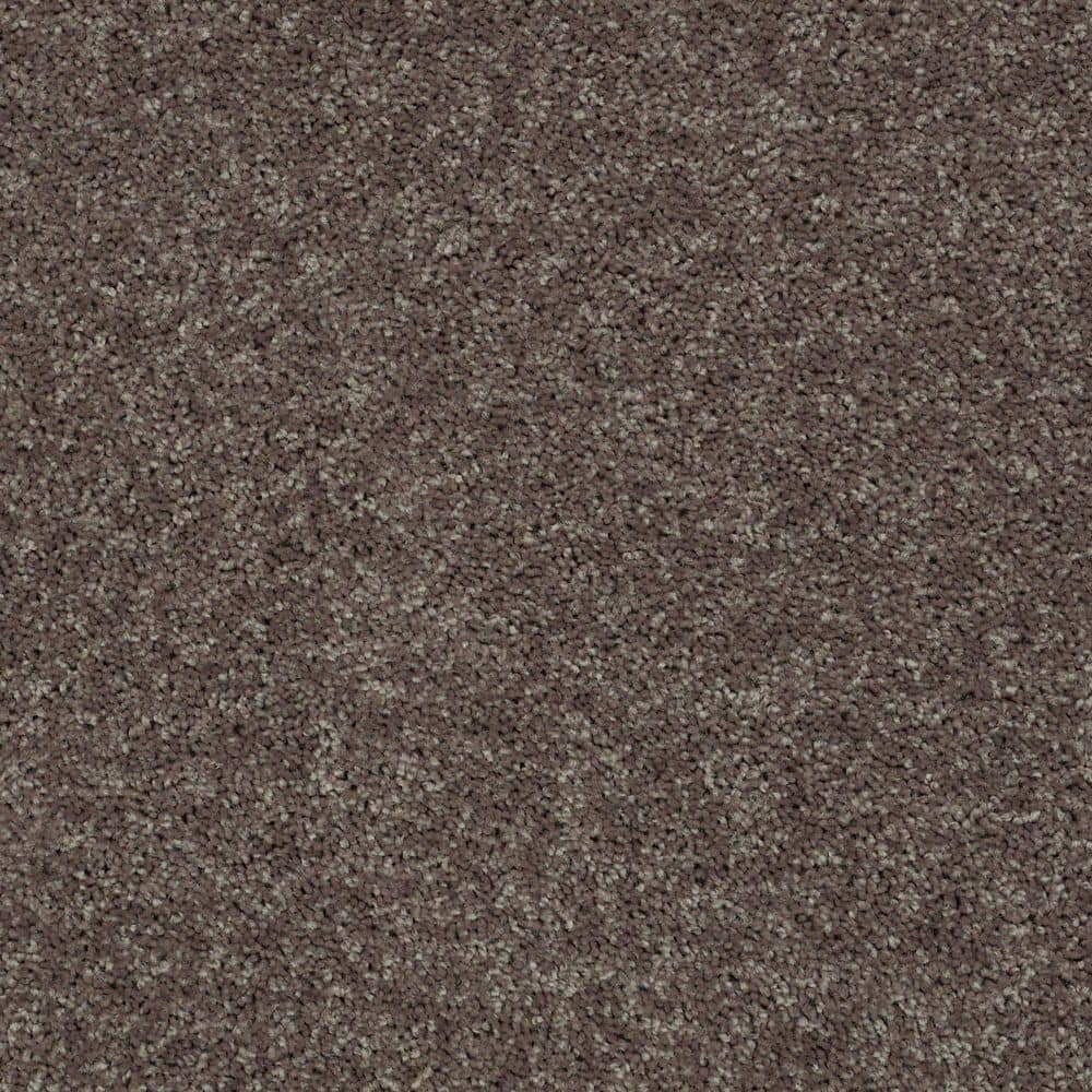 8 in. x 8 in. Texture Carpet Sample - Cottage Comforts - Color Safari price history on PriceWatchPro